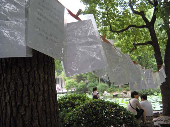 times square shanghai petites annonces arbres